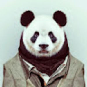 Meet your Posher, Evan